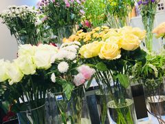 -花未央花店·WEYOUNG