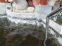 -碧水湾温泉