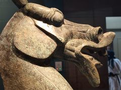 -广西壮族自治区博物馆