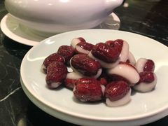 -蝶园·装修中(BFC外滩金融中心店)