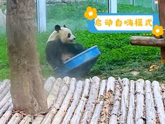 -西安秦岭野生动物园