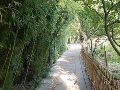 -新川面馆(新街口起源店)