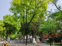 -囿面传统制面馆(中央路店)