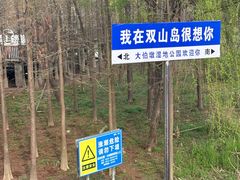 -双山岛