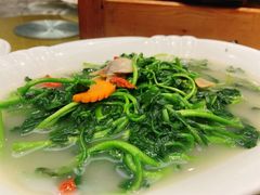 西洋菜-新兴家喻酒家·羊城名宴(昌岗店)