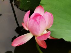 景点-大宁公园