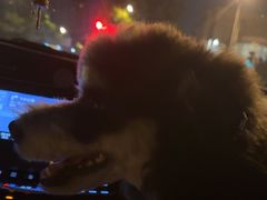 -FAELING PETS美天灵宠物(合生汇店)