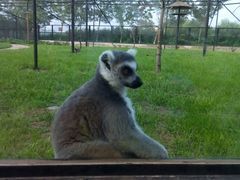 android_upload_pic-石家庄市动物园