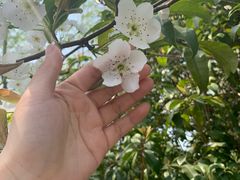 -无锡市市民中心