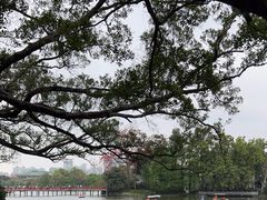 -东山湖公园