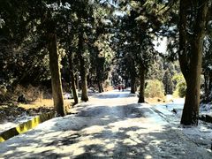 -南岳衡山风景名胜区