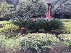 -四川大学(华西校区)