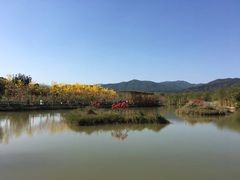 -天适樱花悠乐园