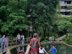 -成都市活水公园