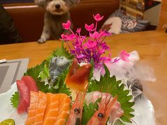 -鮨桐日本料理(望京店)