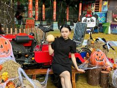 -灵玲国际马戏城