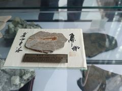 -房山世界地质公园博物馆