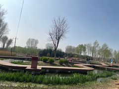 -东郊湿地公园