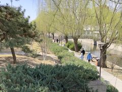 -元大都城垣遗址公园