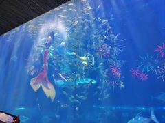 -华夏文旅西安度假区