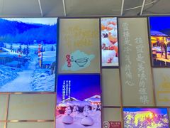 -挂雪铁锅炖大鹅