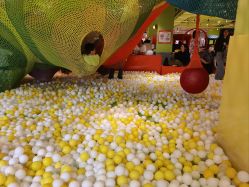 -宝燕乐园(闵行旗舰店)