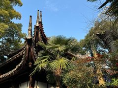 -天一阁博物院