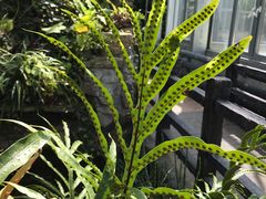 -国家植物园南园