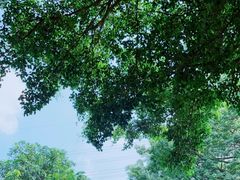 -水濂山森林公园