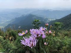 -白草畔自然风景区