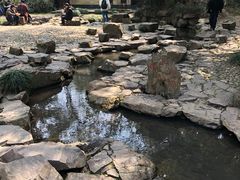 -兰亭风景区