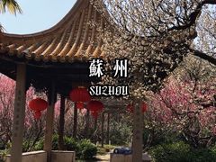 -雨花胜境