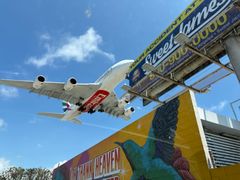 -In-N-Out Burger(LAX)