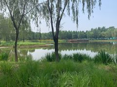 -东郊湿地公园