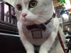-螺小胖柳州螺蛳粉(钟楼总店)
