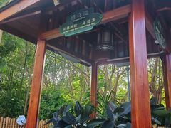 -碧水湾温泉