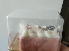 -哈根达斯(石家庄北国店)