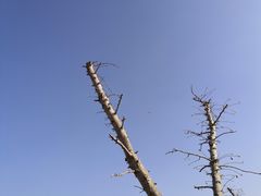 -钟山体育运动公园