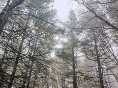 -白草畔自然风景区