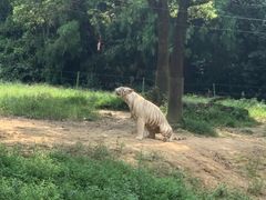 -杭州野生动物世界