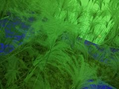 -chi K11艺术空间展览厅