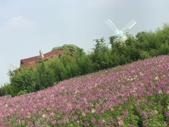 -曲江薰衣草庄园