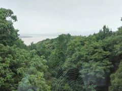 android_upload_pic-杭州林泉山庄
