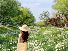 -汉长安城未央宫国家考古遗址公园