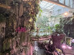 -正佳雨林生态植物园