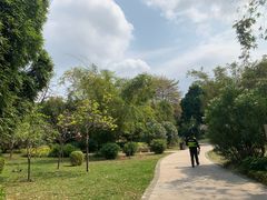 -晓港公园