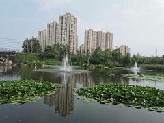-前关湿地公园