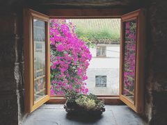 景观位-阿兰白家宴