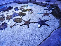 -多彩贵州城极地海洋世界