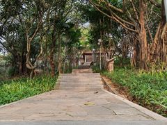 -深圳龙潭公园